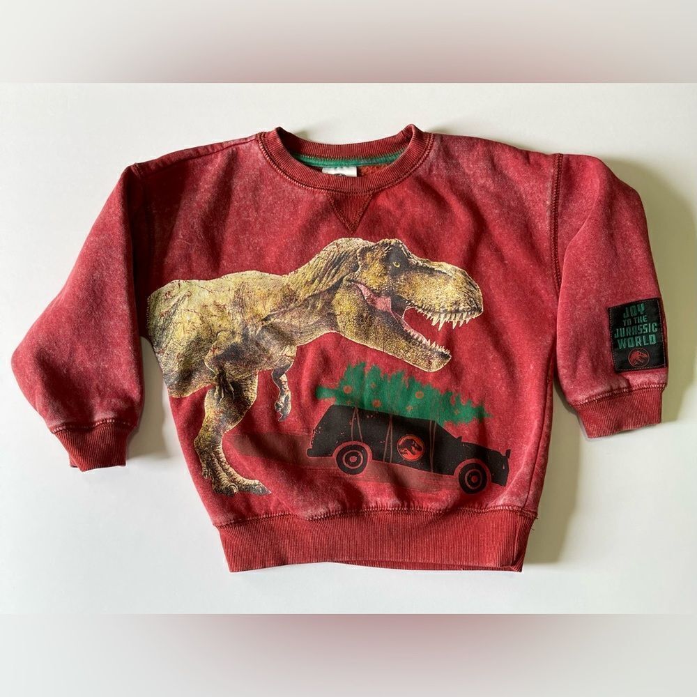 EUC Boy’s Jurassic World Sweatshirt.